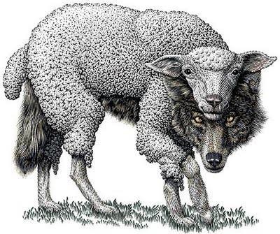 sheep wolf