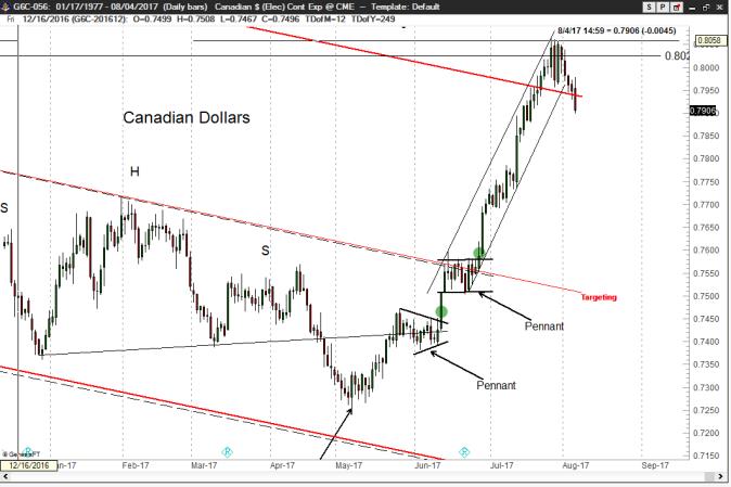 Losing Trade 3 - Peter Brandt Factor